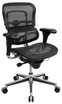 Ergonomic, Work and Mesh Chairs