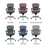 Eurotech Ergohuman mesh desk work chair mesh color options