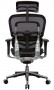 Eurotech Ergohuman mesh ergonomic high back chair with head rest